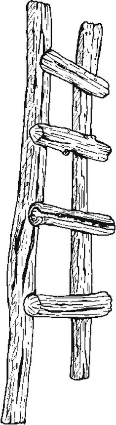 misti/giardino/wooden ladder.JPG